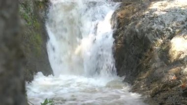 Clear natural mountain water flowing down on the stone boulders splashing foamy under the shade of trees..