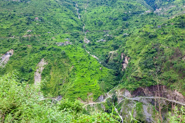 Uttarakhand, Hindistan 'daki Himalaya Dağı' ndaki şelale ve dağ yolu ile yeşil arazi pirinç tarlası manzarası.