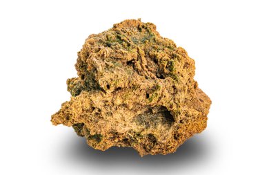 Yüzeydeki pürüzlü volkanik kayaların yakınından geçerken, doğal bitki beyaz arka planda, kırpma yolu ile yalıtılmış olarak büyüyor.