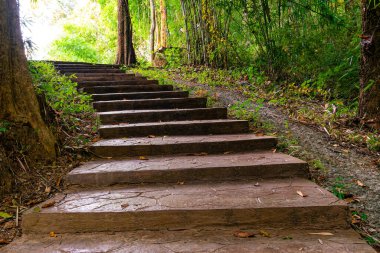 Bambu ormanındaki beton yol, Tayland 'ın Lampang Eyaleti, Ngao Bölgesi' ndeki Lom Phu Khiew veya Blue Lake adlı subatana çıkıyor..