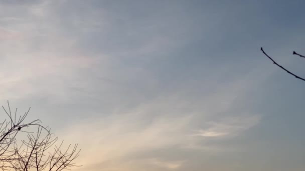 Зима Фиолетовое Небо Закате Светлыми Перистыми Облаками Деревне — стоковое видео