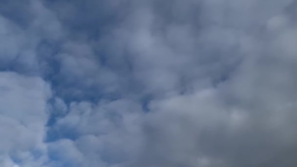Blue Sky Cumulus Clouds Background High Quality Fullhd Footage — Wideo stockowe