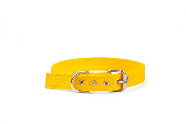 Collar Perro Amarillo Sobre Fondo Blanco Con Espacio Para Copiar — Foto de Stock