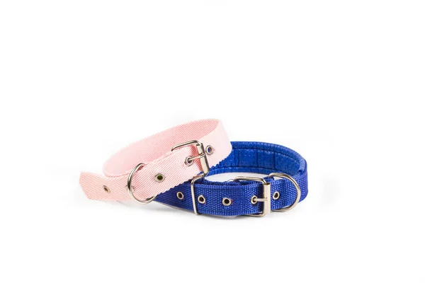 Roze Blauwe Hondenhalsbanden Een Witte Achtergrond Met Kopieerruimte — Stockfoto