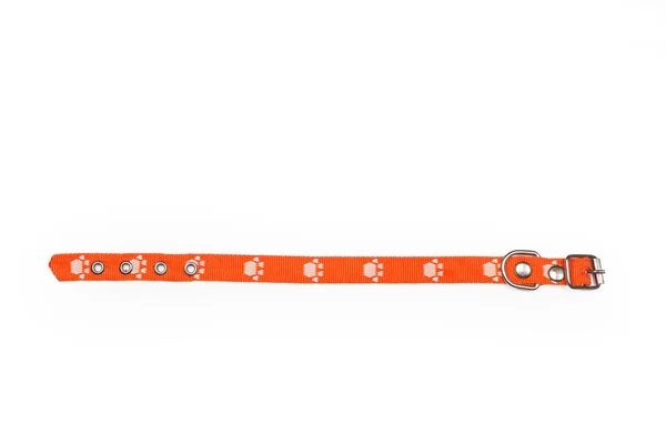 Oranje Hondenhalsband Een Witte Achtergrond Met Kopieerruimte — Stockfoto