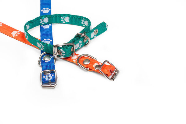 Colored dog collars on a white background with copy space