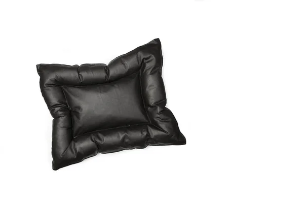 Black Dog Cushion White Background Copy Space — Stock Photo, Image