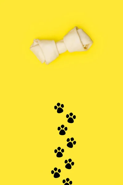 Szlak Kości Psa Żółtym Tle Przestrzenią Kopiowania — Zdjęcie stockowe