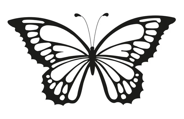 Черные Линии Бабочки Белом Фоне — стоковое фото