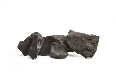 Fotokopi alanı olan beyaz bir arkaplanda beş parça kömür