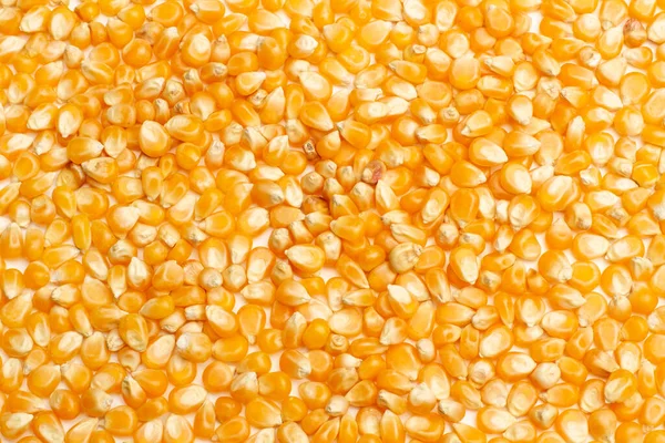 Желтые Кукурузные Ядра Вблизи — стоковое фото