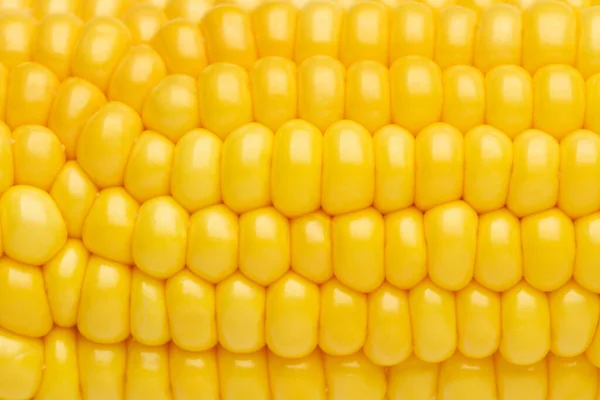 Sárga Kukorica Közelről — Stock Fotó