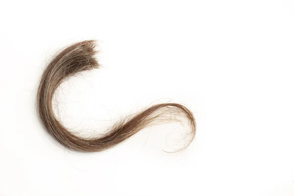 A brown lock of hair on a white background with copy space