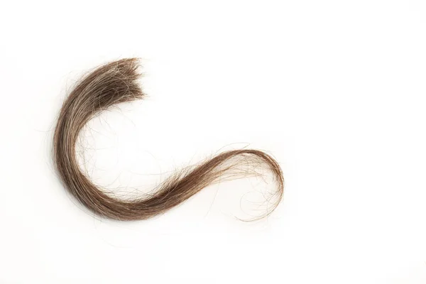 Fotokopi Alanı Beyaz Arkaplanda Kahverengi Bir Saç Tutamı — Stok fotoğraf