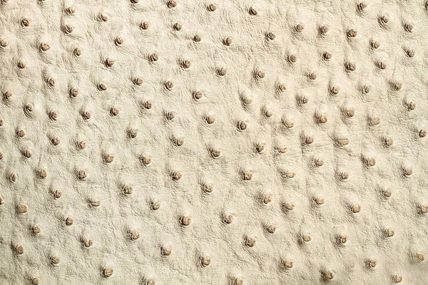 White Textured Leather Fabric Close View — Stock Photo, Image