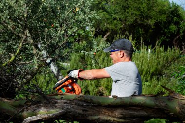 Elektrikli testereli bir adam güneşli bir günde ağaçtan dallar kesiyor.