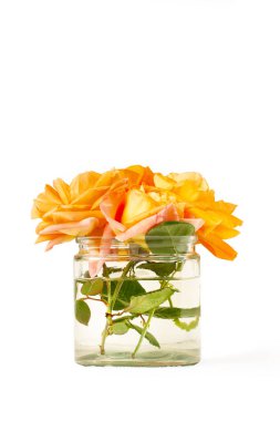 Cam vazoda turuncu güller, beyaz arka planda su ve kopyalama alanı var.