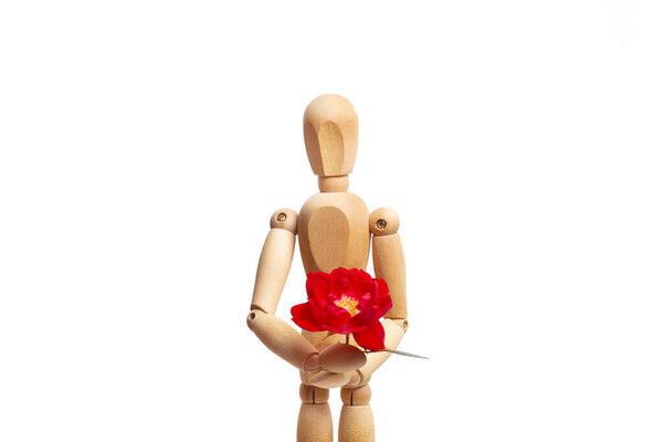 A wooden mannequin toy holding a flower on white background