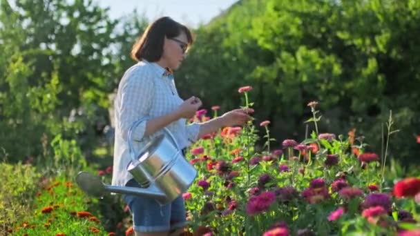 浇水的女园丁可以在花坛附近散步 欣赏紫杉花 人的概念 — 图库视频影像