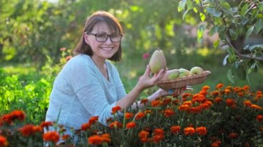 Meyve bahçesinde olgun armutlarla kameraya bakan gülümseyen kadının portresi. Bahçıvanlık, hasat, tarım, sağlıklı organik gıda, hobiler ve boş zaman, olgun insanlar.