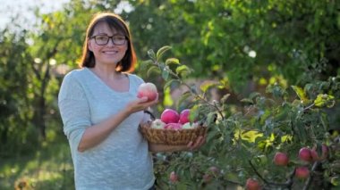 Güneşli bir sonbahar gününde bahçede organik kırmızı elma hasat eden bir kadın. Orta yaşlı bir kadın, meyve bahçesinde poz veren olgun elmalarla ağacın yakınındaki kameraya bakıyor. Tarım doğal ekolojik ekolojik meyveler yetiştiriyor.