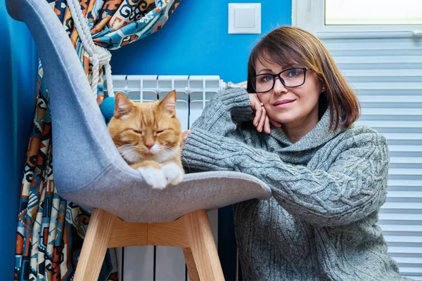 스웨터를 라디에이터 근처에서 애완용 고양이가 에너지 — 스톡 사진