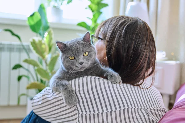 Gray cat in hands of woman at home, cat sitting on shoulder, love friendship, pet and owner, animals people concept