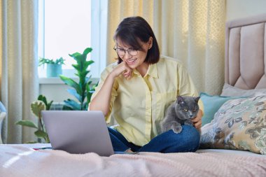 Orta yaşlı bir kadın evinde, kanepede dizüstü bilgisayarı ve kedisiyle oturuyor. Olgun 40 'lı yaşlarda bir kadın evcil hayvanla yatakta ekrana bakıyor. Evde çalışmak, teknoloji, eğlence, serbest çalışmak, yaşam tarzı, insanlar ve hayvanlar konsepti