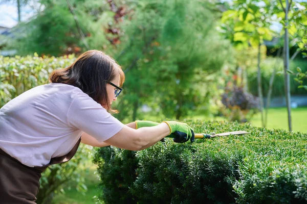 앞치마를 정원사는 정원용 가위를 사용하여 아름답게 단장하고 서비스업 뒷마당 사람의 — 스톡 사진