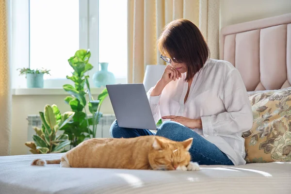 stock image Mature woman using laptop sitting on couch at home, with relaxed sleeping ginger cat. Middle aged female working at home remotely, freelancing, technologies for work and leisure, 40s people, lifestyle