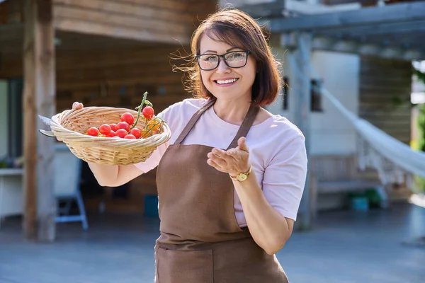 Femme Souriante Dans Tablier Montrant Une Branche Tomates Cerises Rouges — Photo