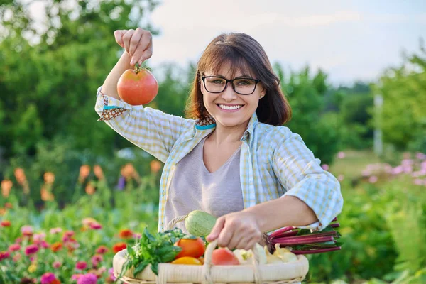 Portrait of happy farmer woman with basket of different vegetables holding tomato in hands, looking at camera, farm summer nature background. Agriculture, farming, growing organic natural vegetables