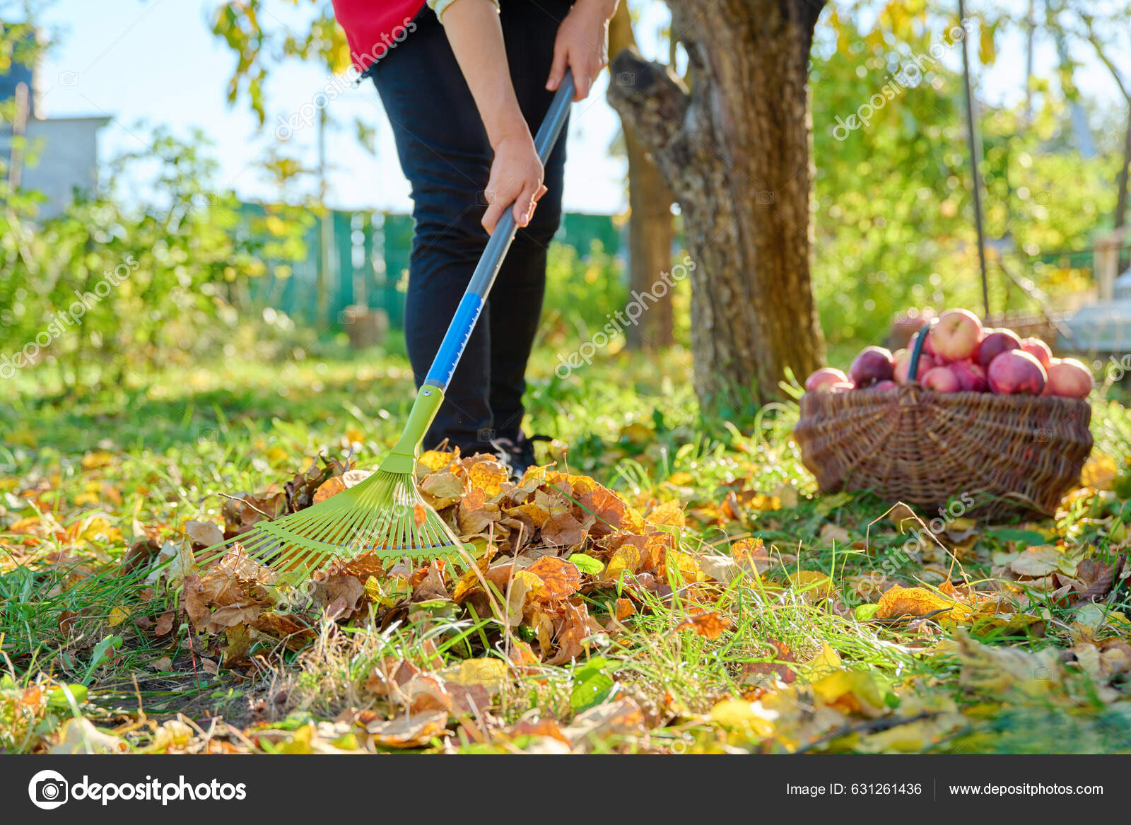 Apple rake sale