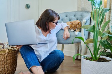 Orta yaşlı bir kadın dizüstü bilgisayar kullanıyor. Evde koltuğa uzanmış uyuyan bir kediyle birlikte. Bir kadın da boş vakitlerinde dizüstü bilgisayar kullanıyor. Ev, iş, serbest çalışma, yaşam tarzı, evcil hayvan, 40 'lı yılların insanları konsepti