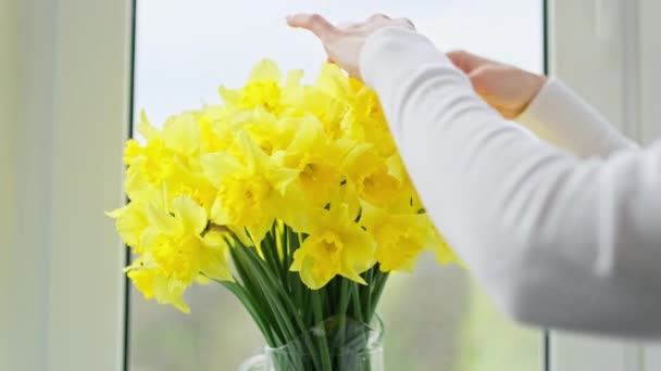 Detailní Záběr Ženských Rukou Upravujících Květinové Aranžmá Váze Kytici Žlutých — Stock video