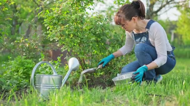 Woman Fertilizing Rose Bush Mineral Chemical Granular Fertilizer Working Spring — Stock Video