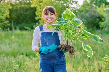 Kökleri olan bir ev sahibi kadın bahçıvan, bahar bahçesinde kürek. Gülümseyen kadın kameraya bakıyor. Çiçek tarlaları için çiçek yapraklı bitkiler naklediyor. İnsanları çevre düzenlemesi yapıyor.