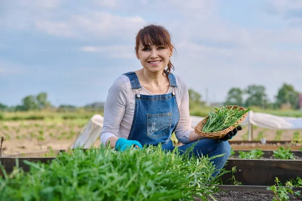 Potret Wanita Petani Paruh Baya Yang Tersenyum Dengan Keranjang Tanaman — Stok Foto
