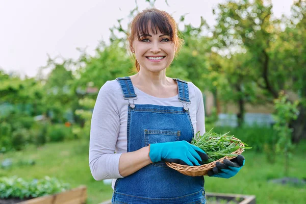 春菜园中年妇女面带微笑 提着一篮杜鹃香草的画像 看着相机 种植有机蔬菜和草药 — 图库照片