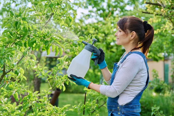 Женщина Распыляет Розовые Кусты Клумбе Саду Заднем Дворе Защищая Растения — стоковое фото