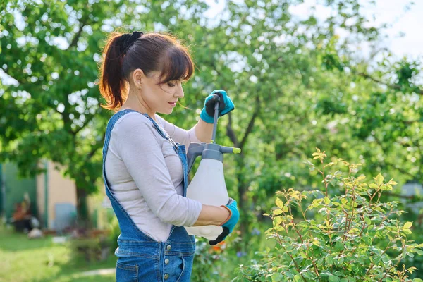 妇女在花园的花坛上喷洒玫瑰灌木 在后院喷洒 保护植物不受害虫和真菌疾病的侵害 景观设计 自然植物保护概念 — 图库照片