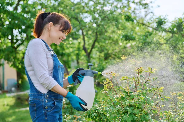 女性は庭の花壇で 裏庭でバラの茂みを噴霧し 害虫や真菌病から植物を保護します 景観デザイン 自然植物ケアの概念 — ストック写真
