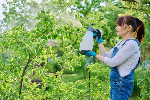Žena Sprejem Rozstřikuje Fungicidy Ovocné Stromy Jabloně Chorob Rostlin Škůdců — Stock fotografie