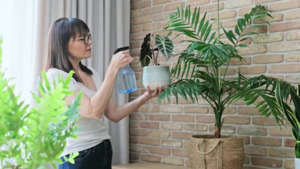 Mujer Madura Rociando Plantas Interior Casa Usando Una Botella Spray — Vídeo de stock
