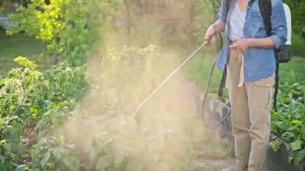 Trädgårdsmästare Bonde Kvinna Med Spray Ryggsäck Sprutning Tomat Peppar Växter — Stockvideo