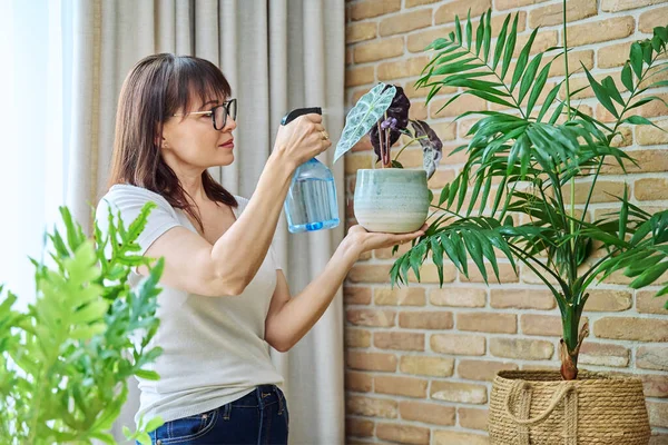 Зріла Жінка Обприскує Кімнатні Рослини Вдома Використовуючи Пляшку Розпилювача Чистою — стокове фото
