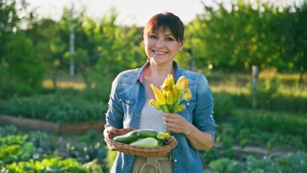 Žena Sklizní Cukety Květiny Cukety Farmě Letní Zahradě Zemědělství Zemědělství — Stock video