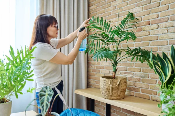Mature Woman Spraying Indoor Plants Home Using Spray Bottle Clean — Stock Photo, Image