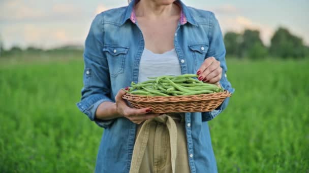 Sepette Yeşil Uzun Kuşkonmaz Tohumlarını Hasat Kadın Bahçıvan Çiftçi Doğa — Stok video