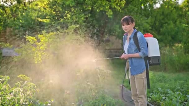 Trädgårdsmästare Bonde Kvinna Med Spray Ryggsäck Sprutning Tomatplantor Trädgården Behandling — Stockvideo
